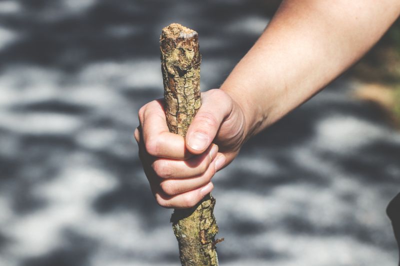 Sie sehen ein Bid von einem Jagdstecken. Nahaufnahme einer Hand, die einen Stock hält – Foto Foto: © EyeEm Mobile GmbH