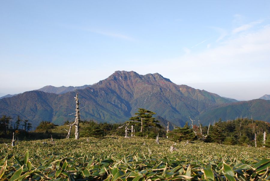 Sie sehen ein Bild welches in der Luftpersepektive über ein japanisches Feld, im Hintergrund erstreckt sich eine Gebirgskette.
